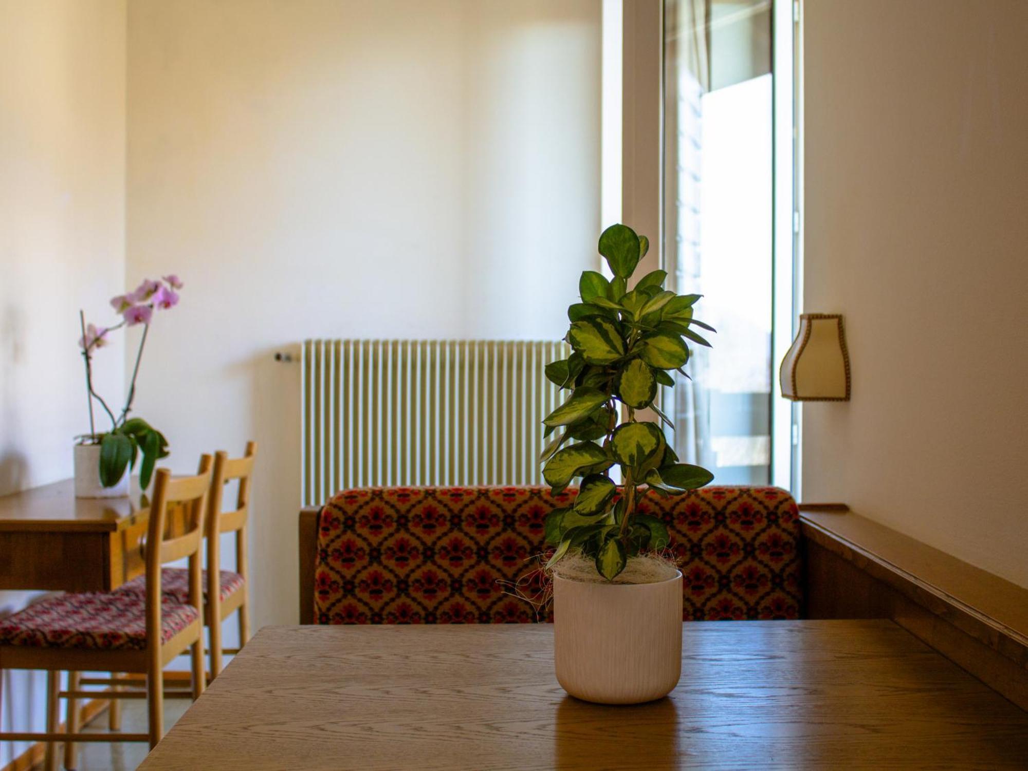 Locanda La Ruscoletta Telve Kültér fotó